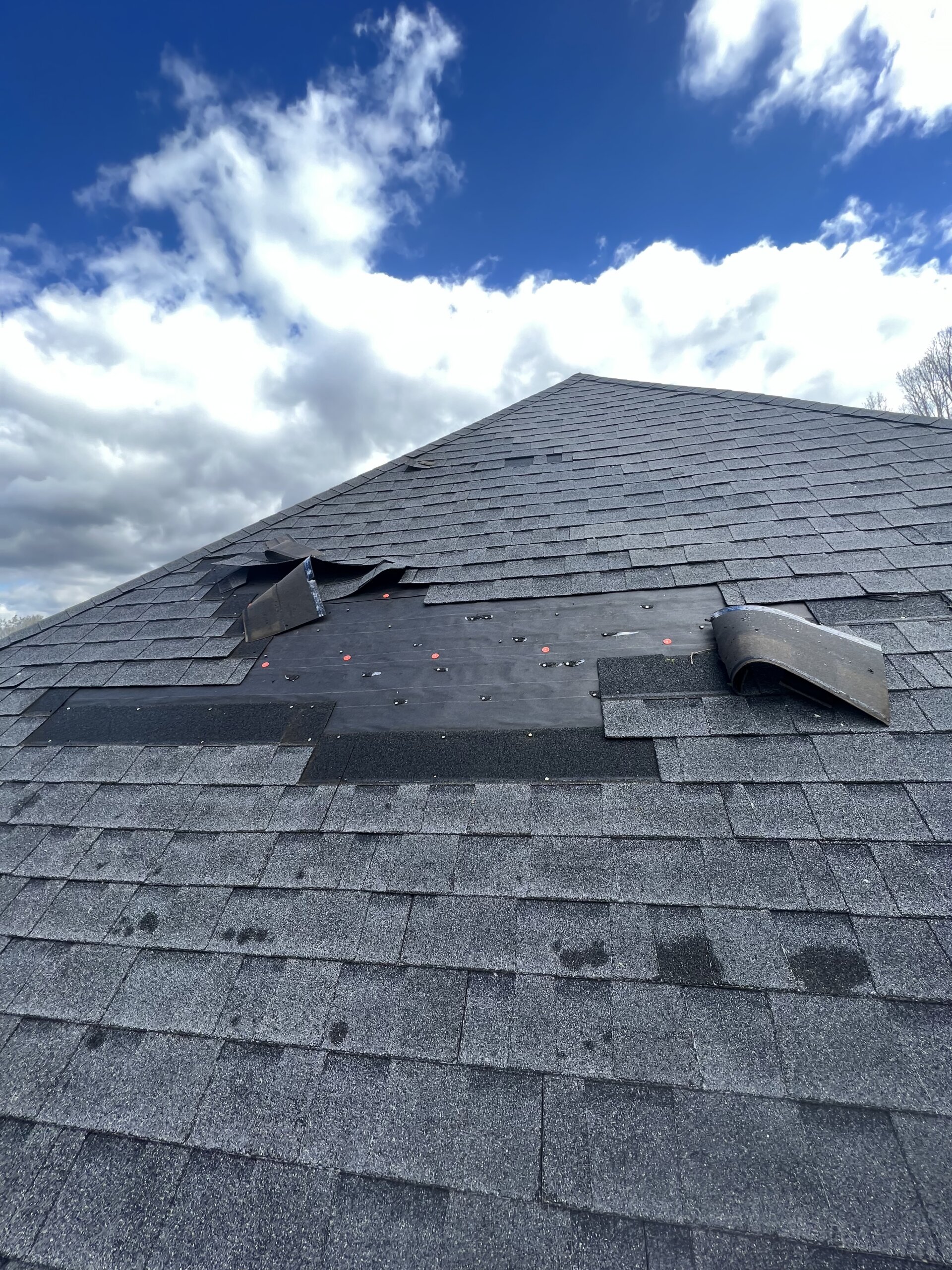 Asphalt shingles on a roof, wind blown and storm damage