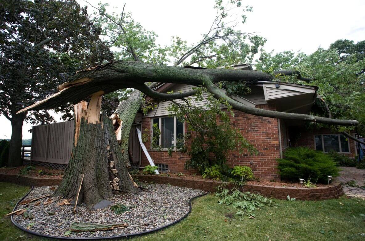 Roof Damage from a Fallen Tree